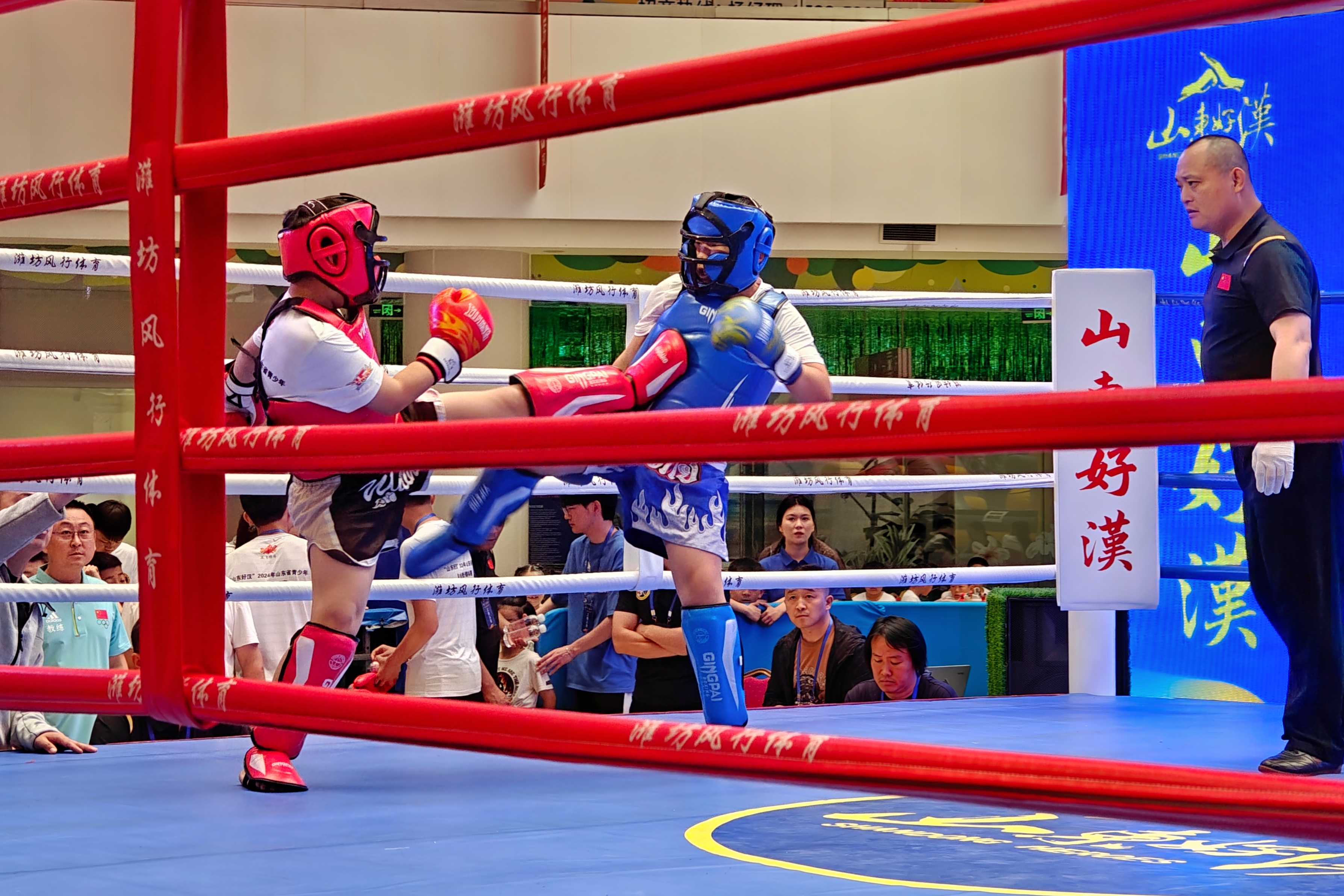 关于拳击项目搏击精彩纷呈，硬汉对决展开的信息