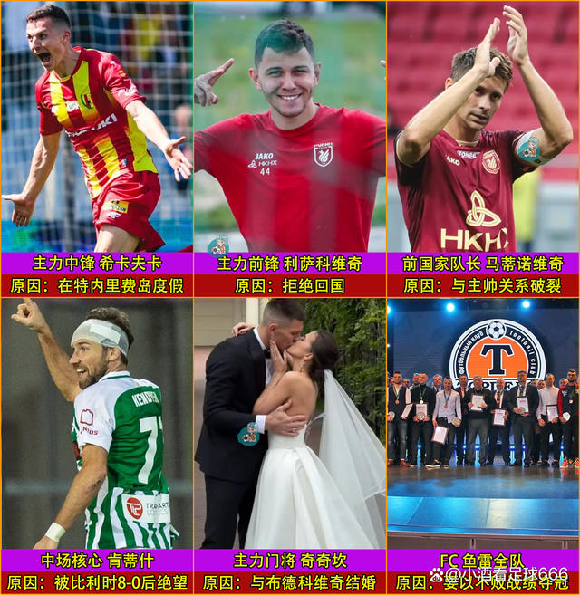 白俄罗斯队在预选赛中展现出色