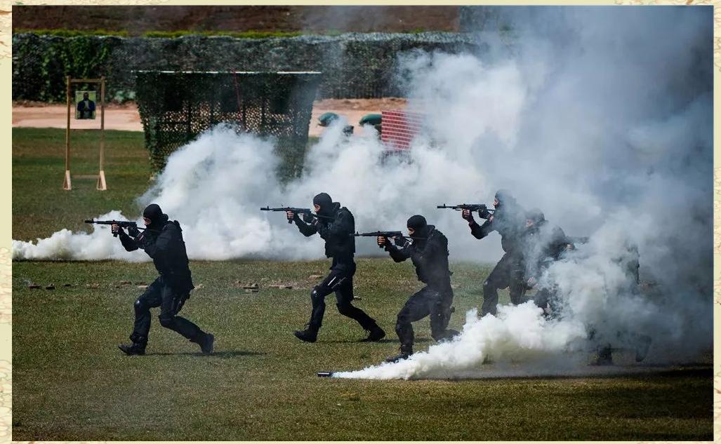 射击比赛表现抢眼,枪法精湛 射击比赛表现抢眼,枪法精湛