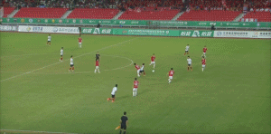 包含鸟栖破僵，足球运动元气满满的词条