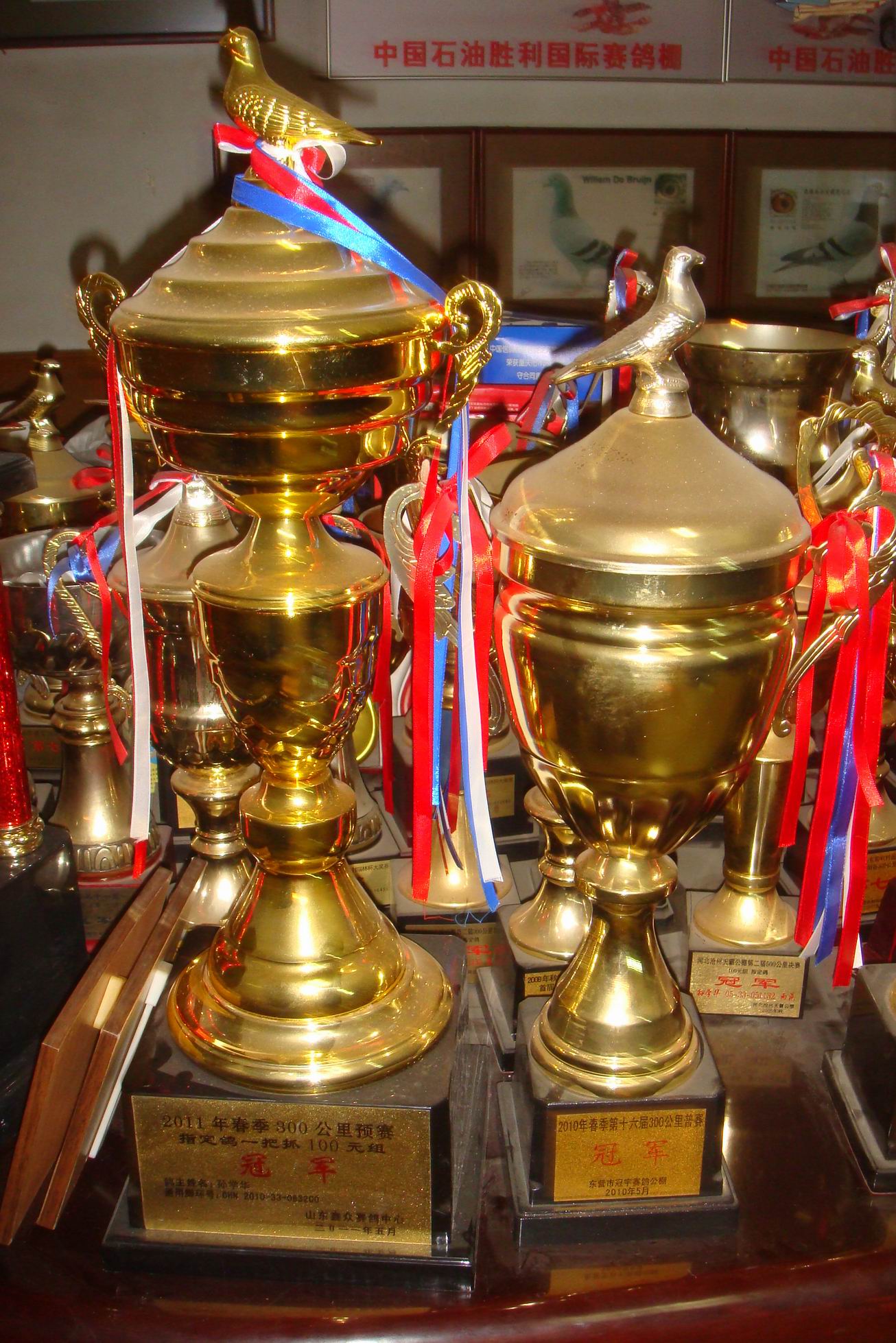 关于美洲球队在全球篮球比赛中夺得令人瞩目的胜利,喜获奖杯的信息 关于美洲球队在全球篮球比赛中夺得令人瞩目的胜利,喜获奖杯的信息