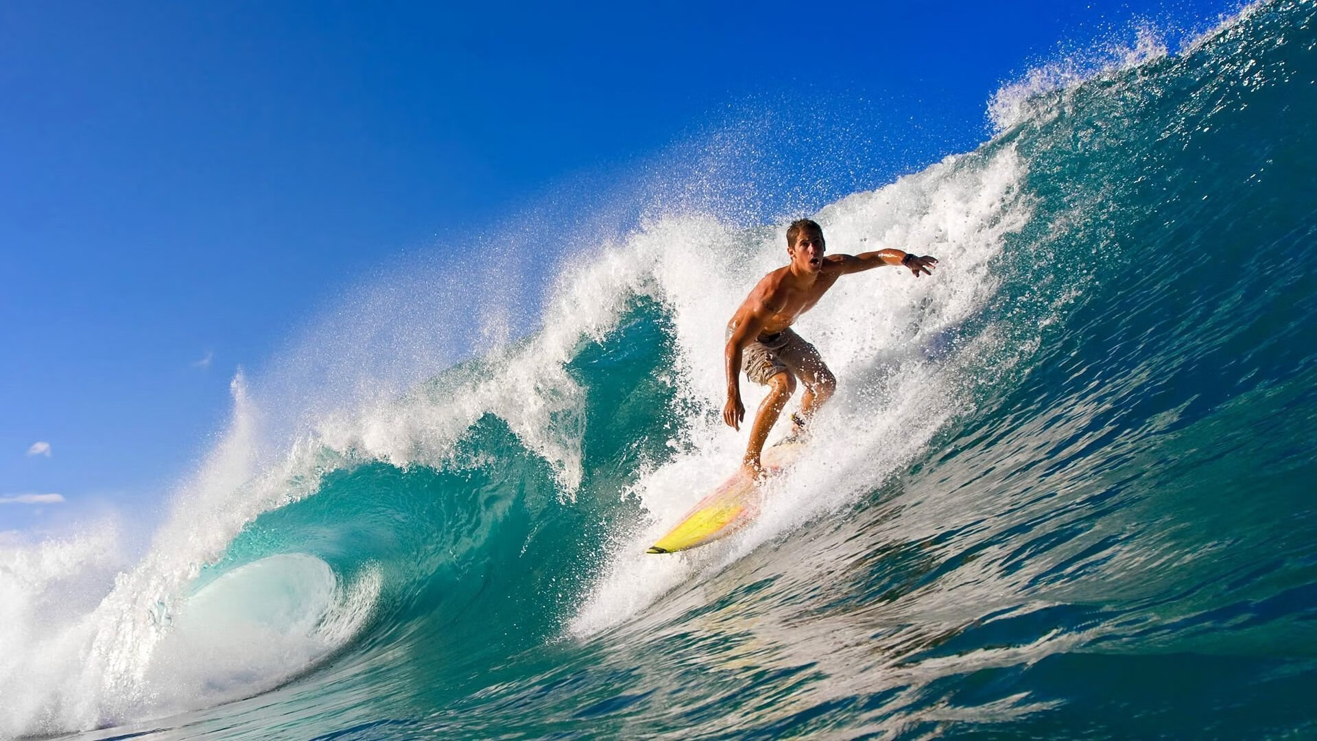 新王破城，旧日神迹，爱德华兹的统治之夜与勇士王朝的续章